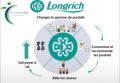 Longrich Santé bio +CI