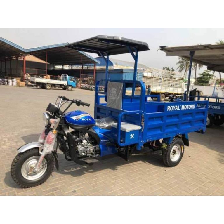 Royal tricycle 2024